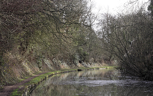 Grand Union Canal, Tring