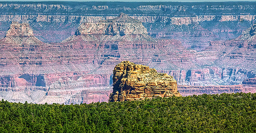 Kaibab National Forest, Grand Canyon